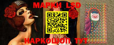 мяу мяу мука Краснознаменск