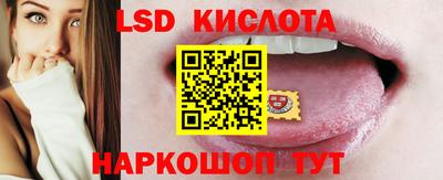 мяу мяу мука Краснознаменск