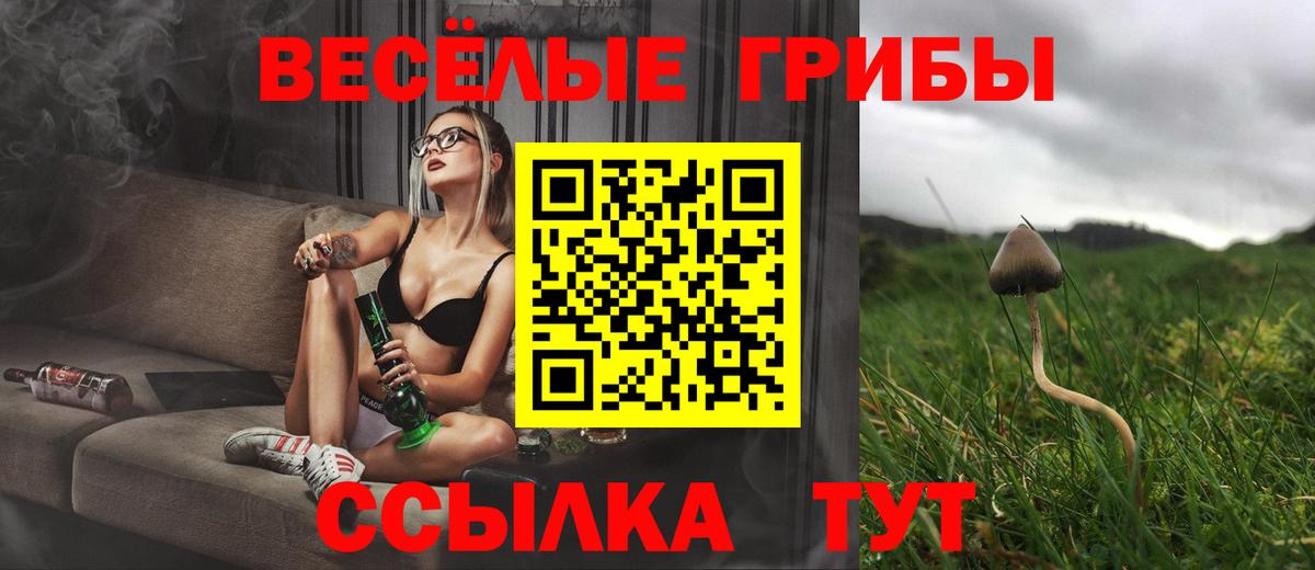 Когалым  Псилоцибиновые грибы ЛСД  Вход с VPN 
